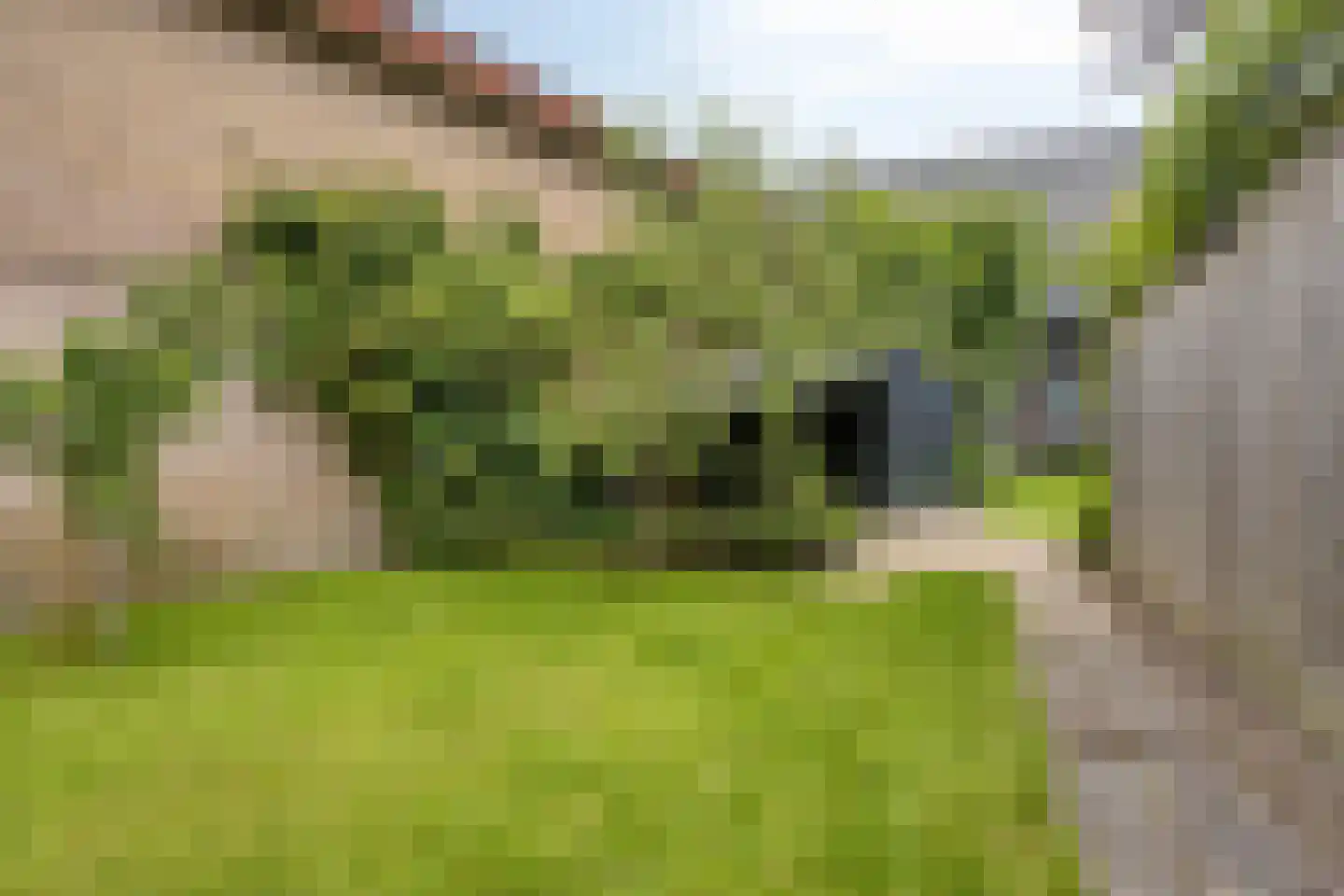 Gazellestraat 14 Apeldoorn thumbnail 22