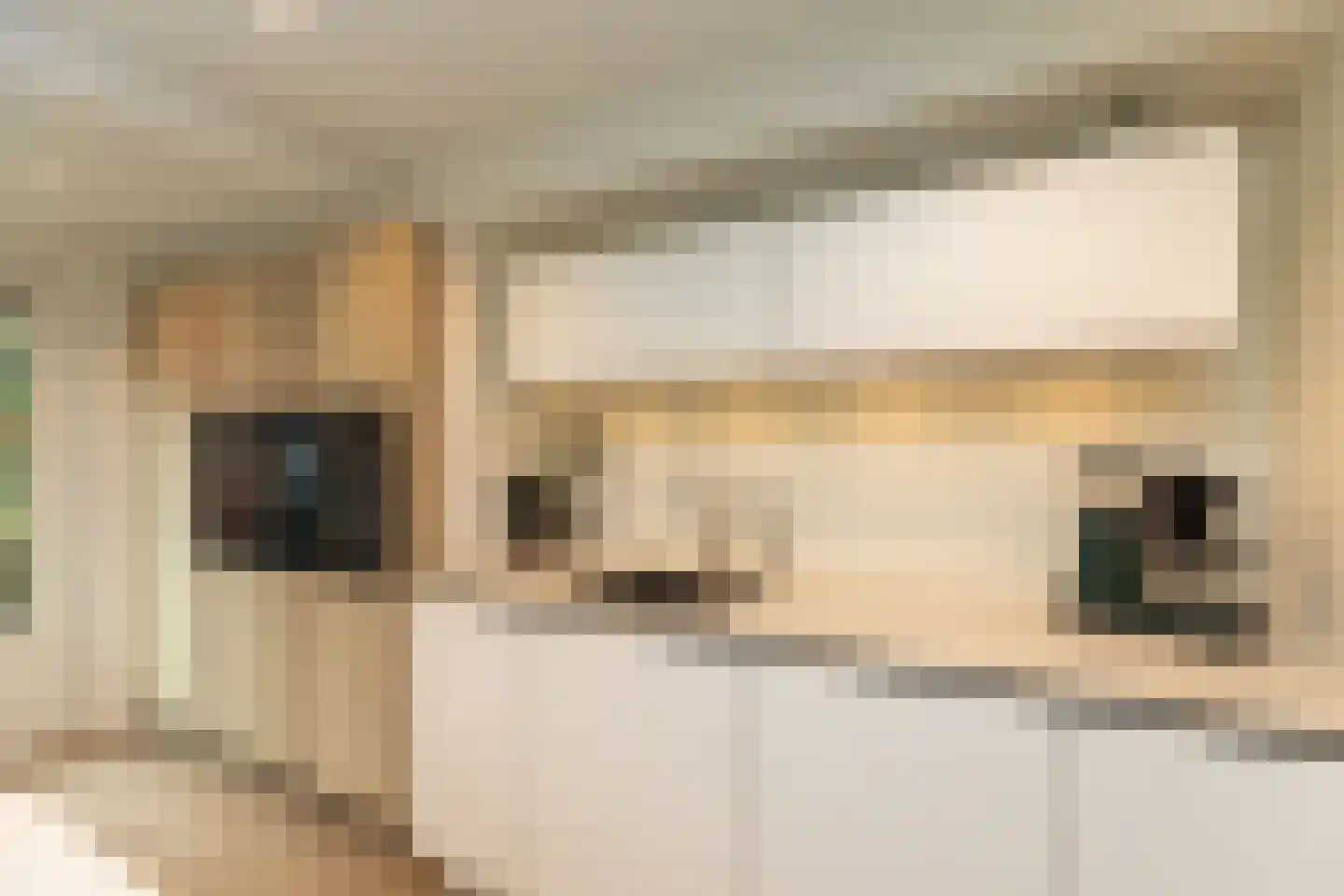 Gazellestraat 15 Hilversum thumbnail 10