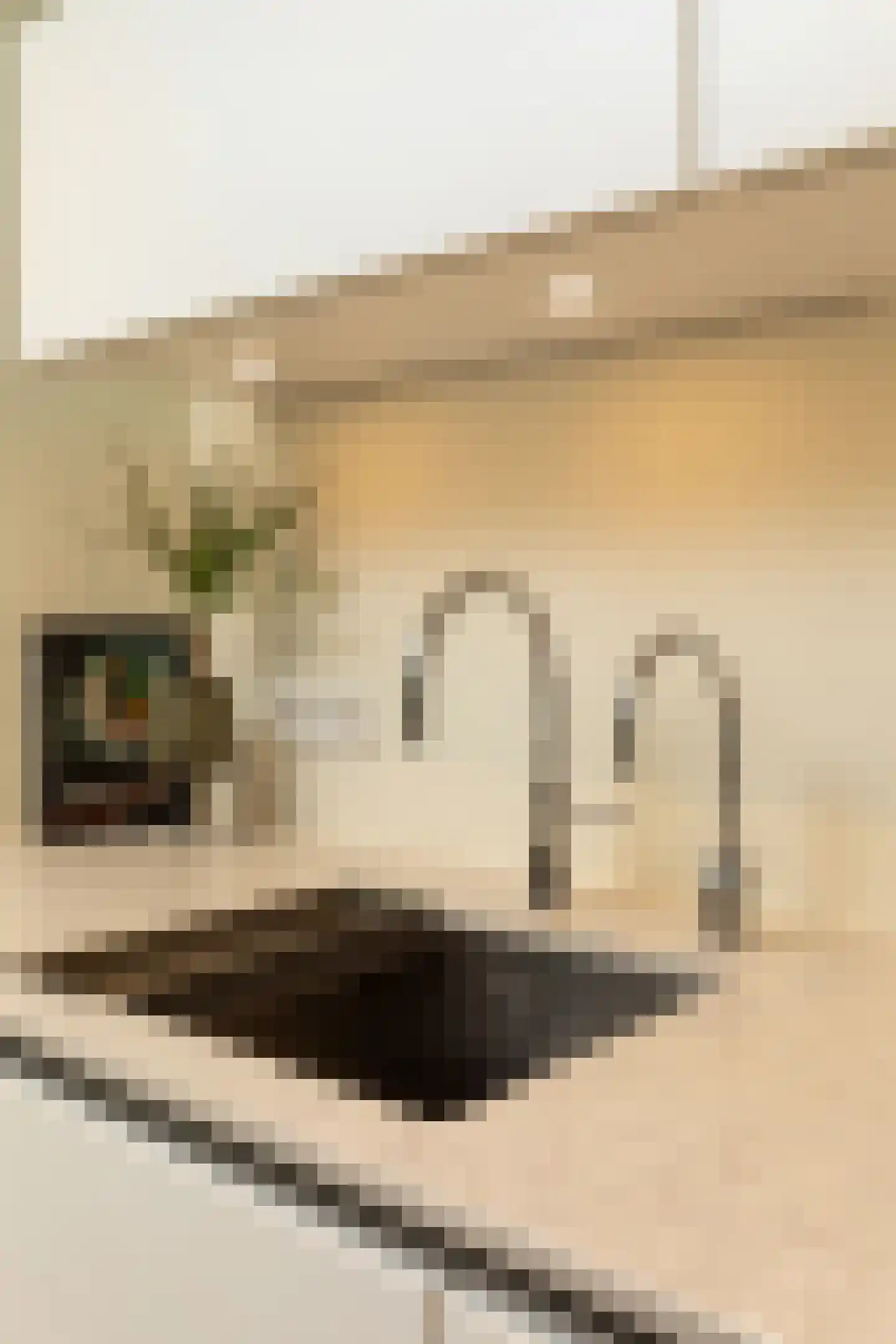 Gazellestraat 15 Hilversum thumbnail 11
