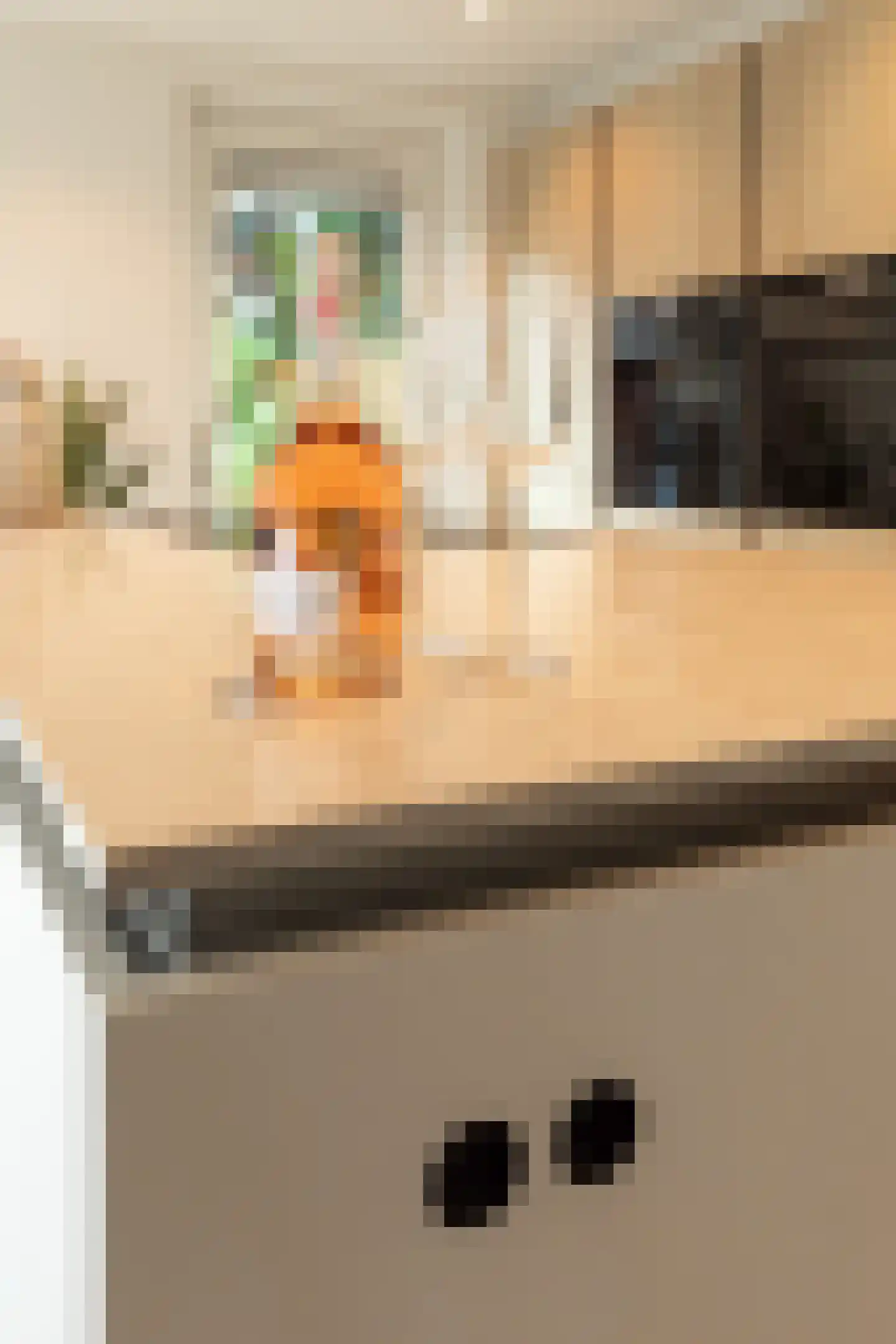 Gazellestraat 15 Hilversum thumbnail 12