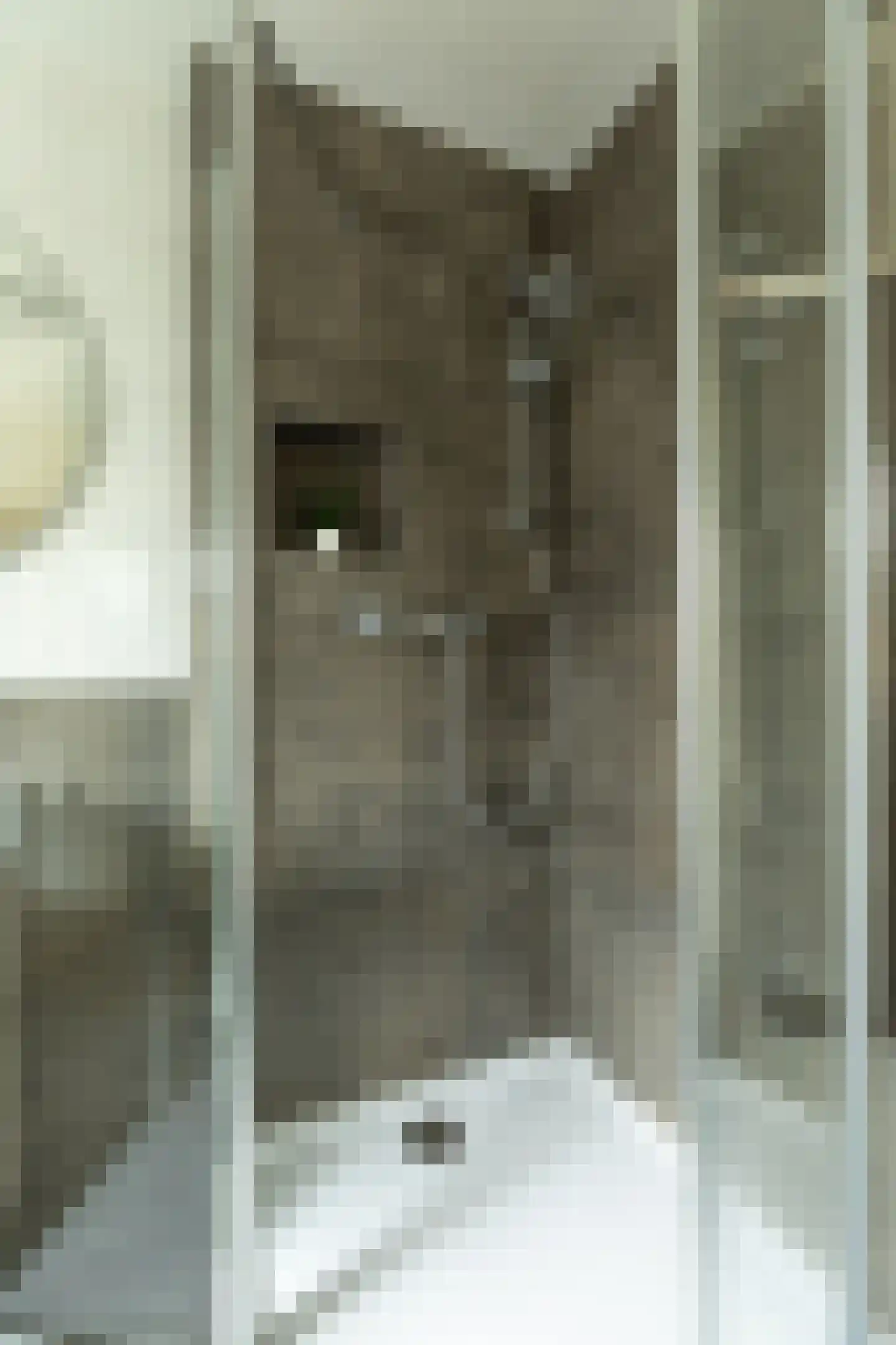 Gazellestraat 15 Hilversum thumbnail 22