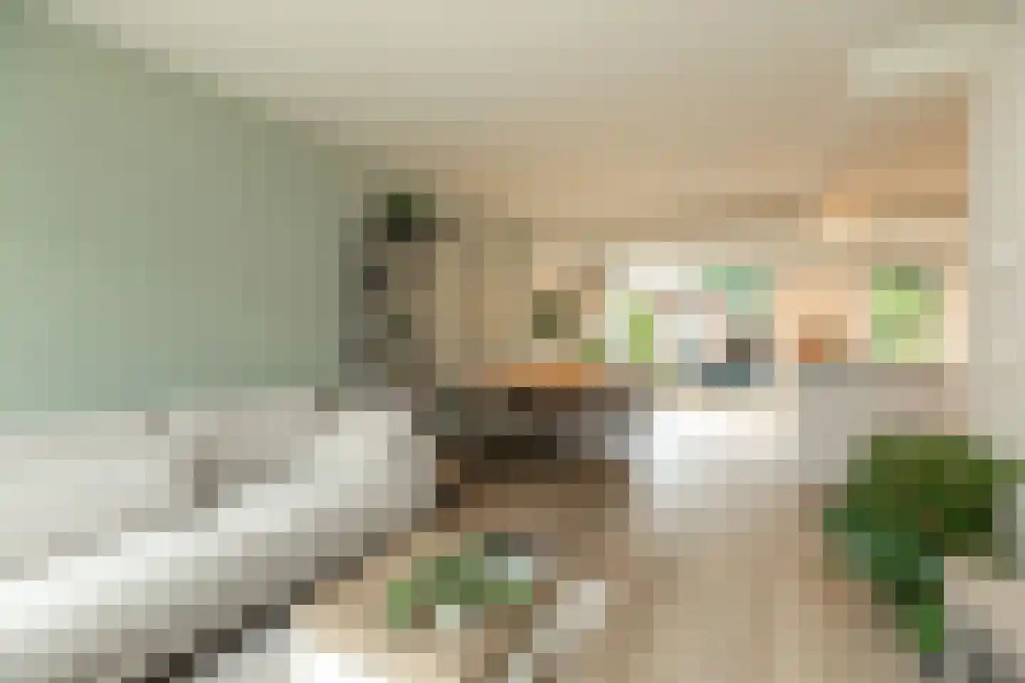 Gazellestraat 15 Hilversum thumbnail 7