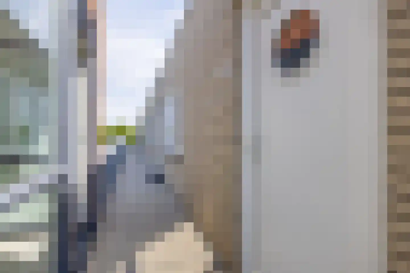Gazellestraat 162 Utrecht thumbnail 9