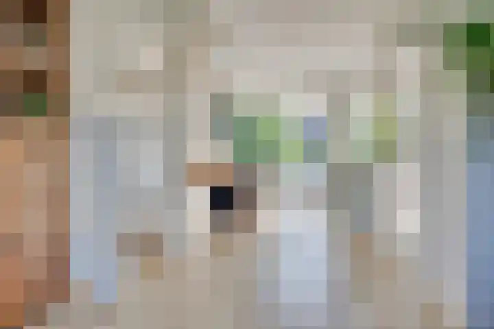 Gazellestraat 18 Utrecht thumbnail 11