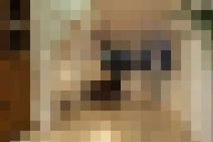 Gazellestraat 18 Utrecht thumbnail 12