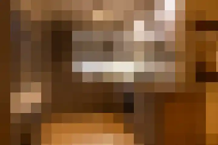 Gazellestraat 18 Utrecht thumbnail 16