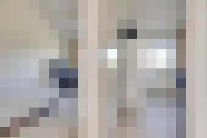 Gazellestraat 18 Utrecht thumbnail 25