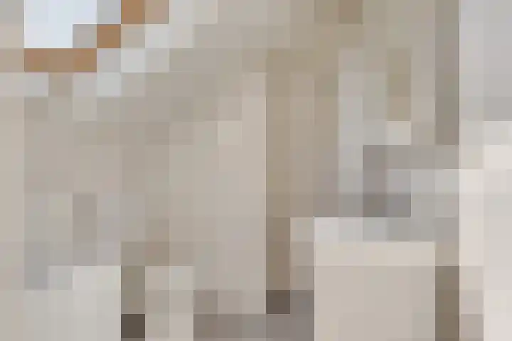 Gazellestraat 18 Utrecht thumbnail 31