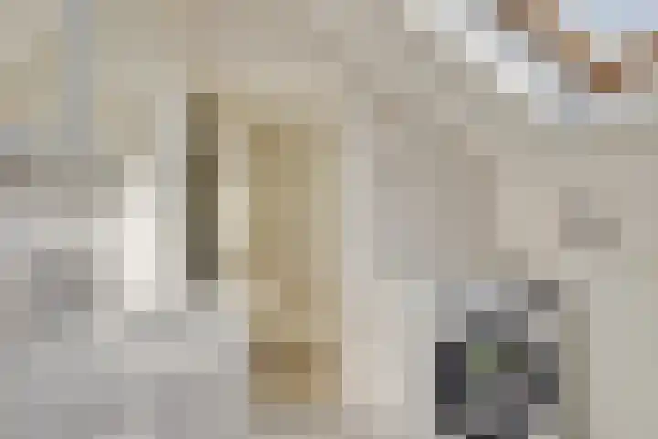 Gazellestraat 18 Utrecht thumbnail 32