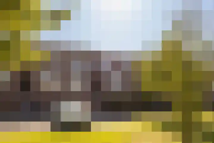 Gazellestraat 18 Utrecht thumbnail 33
