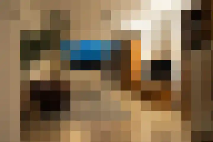 Gazellestraat 18 Utrecht thumbnail 8