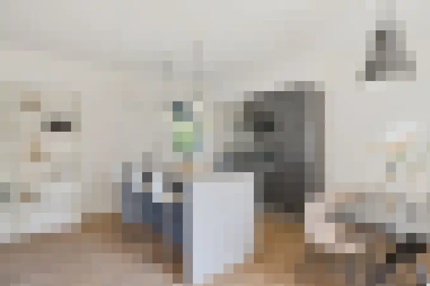 Gazellestraat 2 Utrecht thumbnail 11