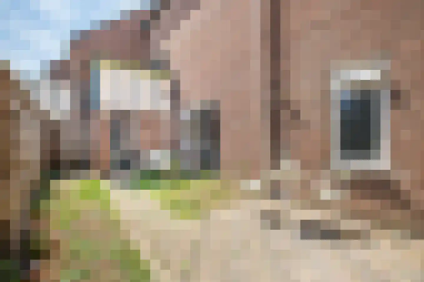 Gazellestraat 2 Utrecht thumbnail 33