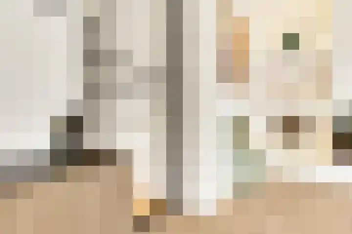 Gazellestraat 36 Hilversum thumbnail 11