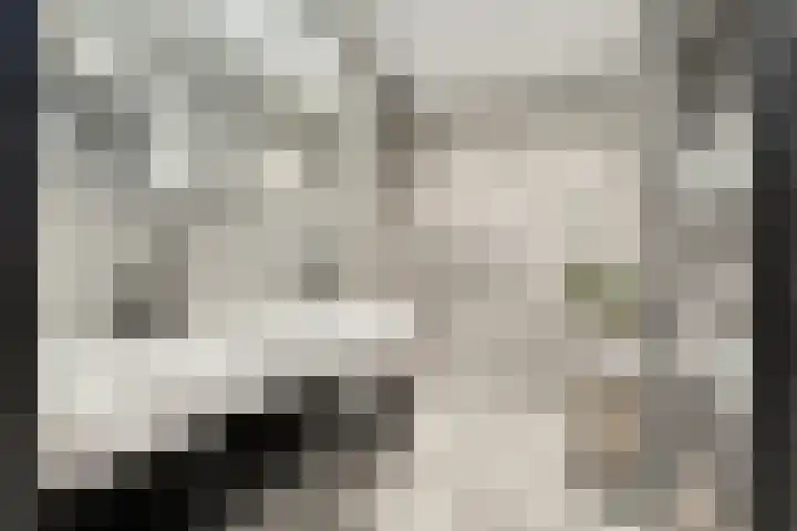 Gazellestraat 36 Hilversum thumbnail 13