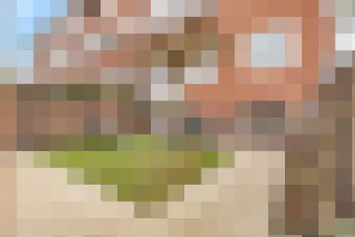 Gazellestraat 36 Hilversum thumbnail 22