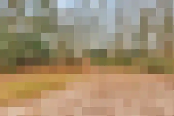 Gazellestraat 36 Hilversum thumbnail 28