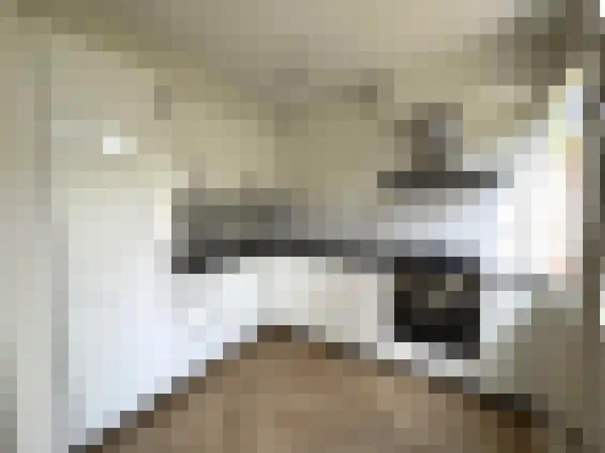 Gazellestraat 5 Hilversum thumbnail 4