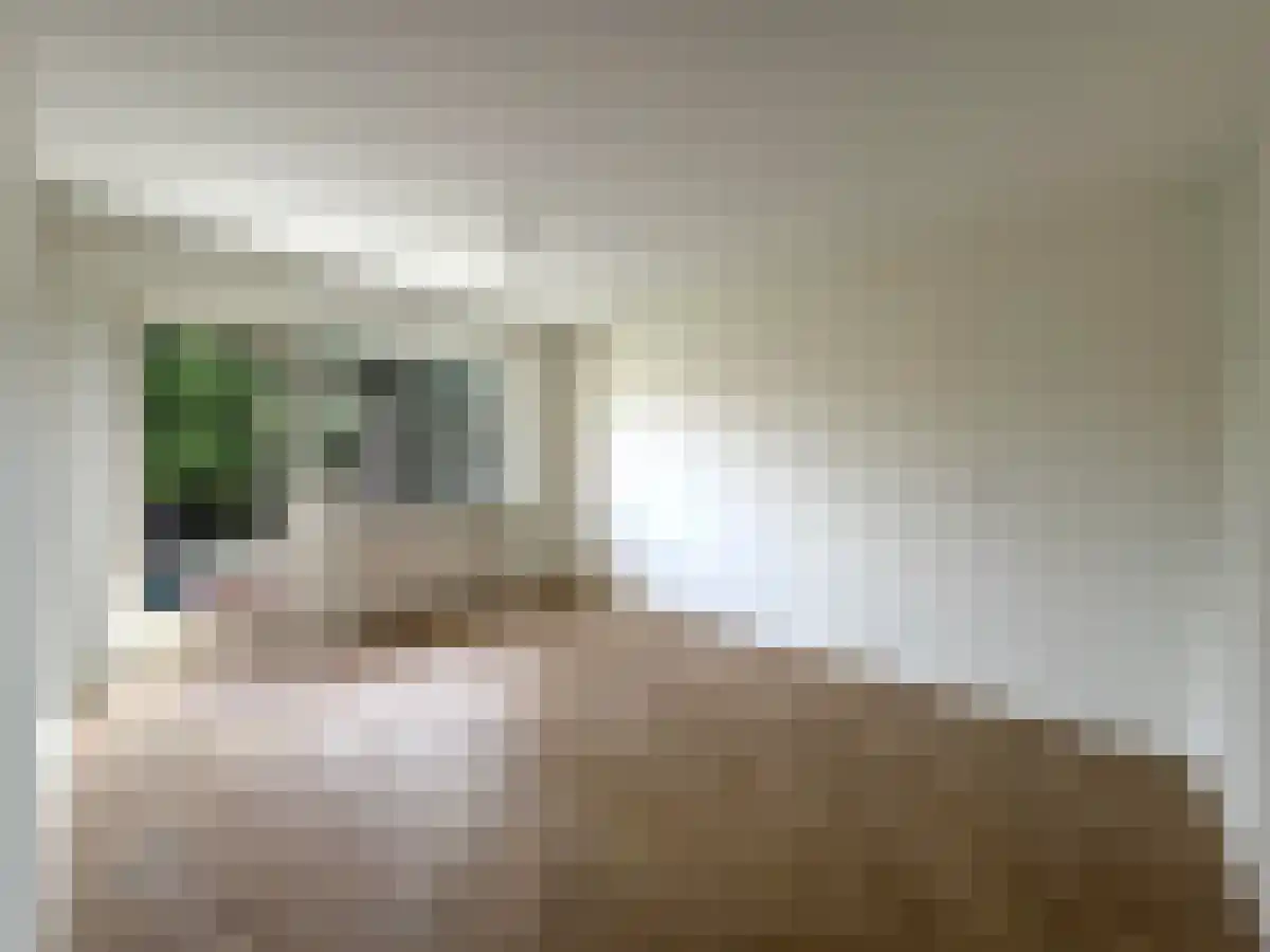 Gazellestraat 5 Hilversum thumbnail 6