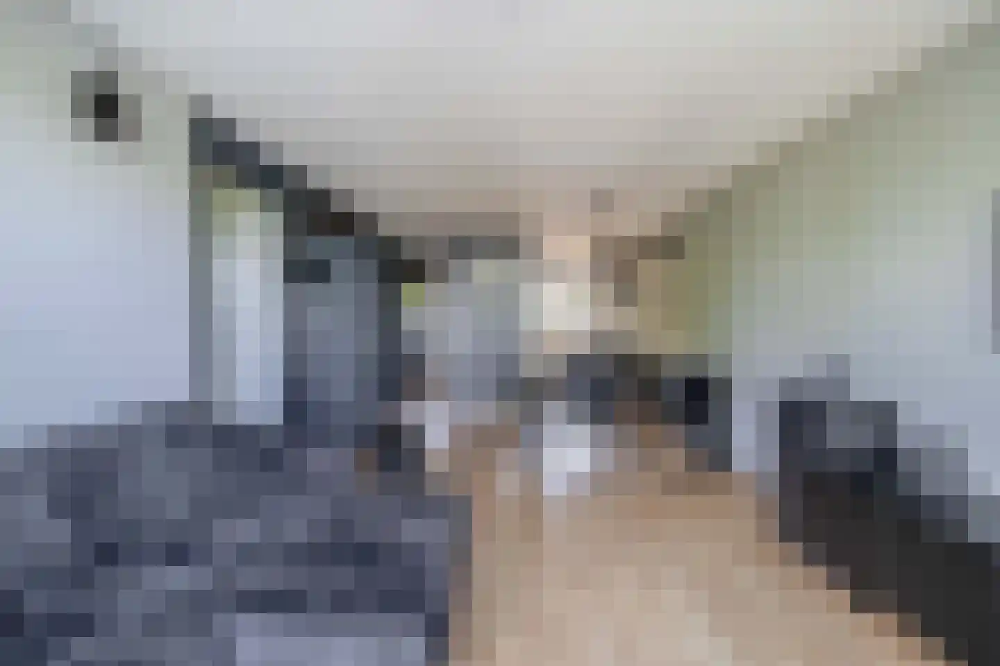 Gazellestraat 88 Utrecht thumbnail 17