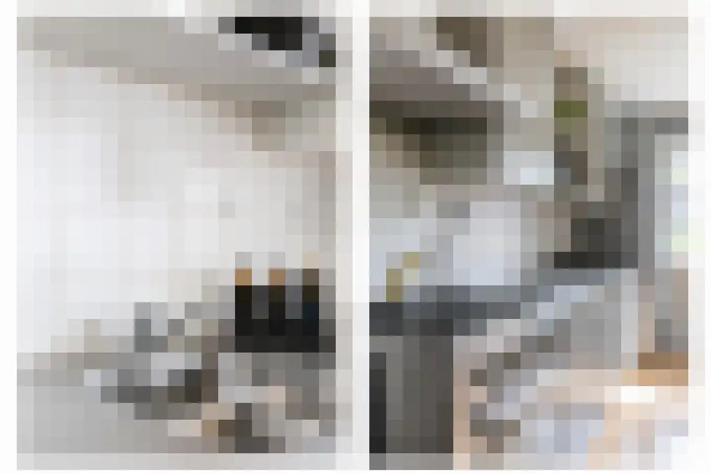 Gazellestraat 88 Utrecht thumbnail 20