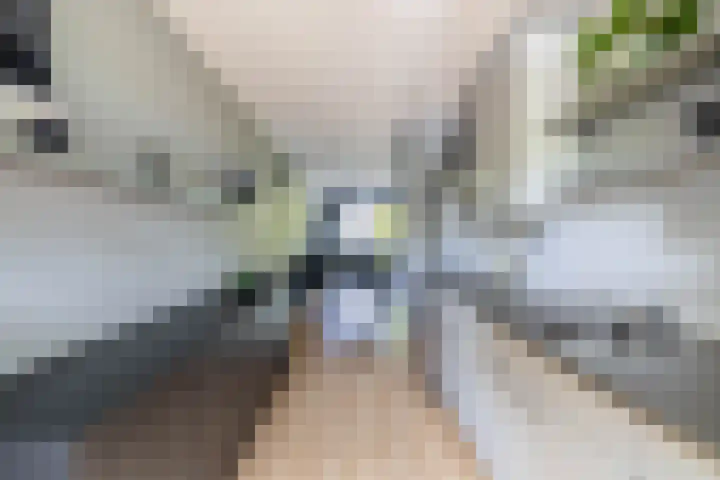 Gazellestraat 88 Utrecht thumbnail 21
