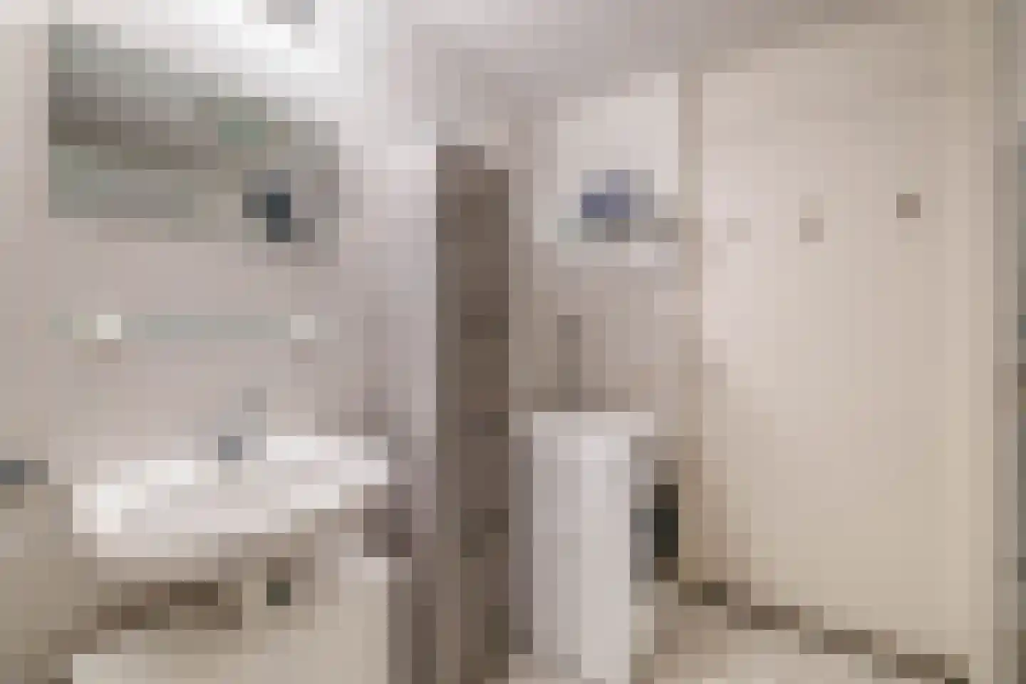 Gazellestraat 88 Utrecht thumbnail 27