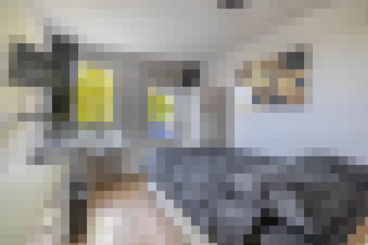 Gazellestraat 88 Utrecht thumbnail 4