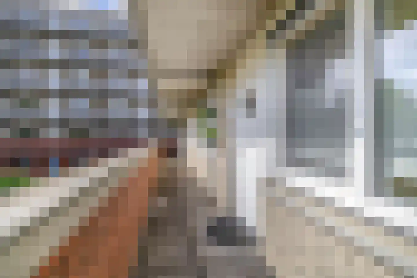 Gazellestraat 88 Utrecht thumbnail 9