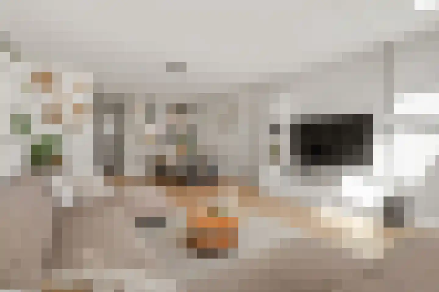 Gazelleweide 11 Nieuwegein thumbnail 15