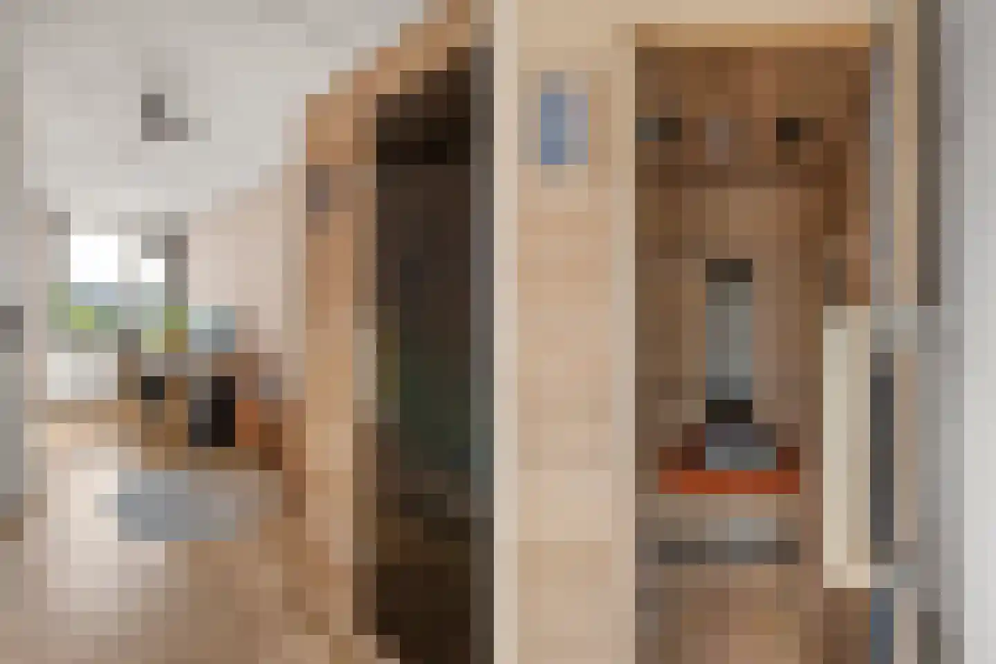 Gazelleweide 11 Nieuwegein thumbnail 17