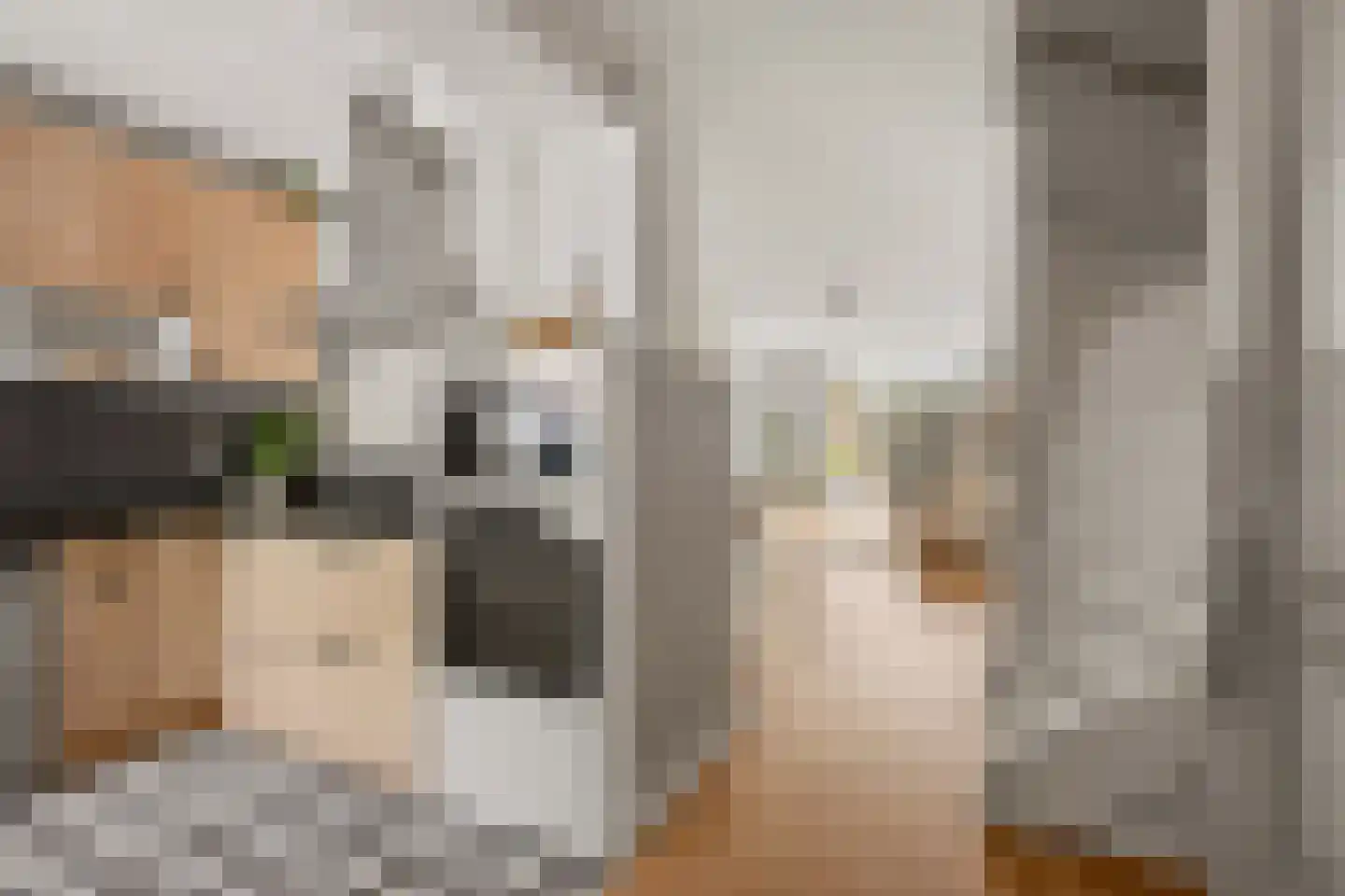 Gazelleweide 11 Nieuwegein thumbnail 8