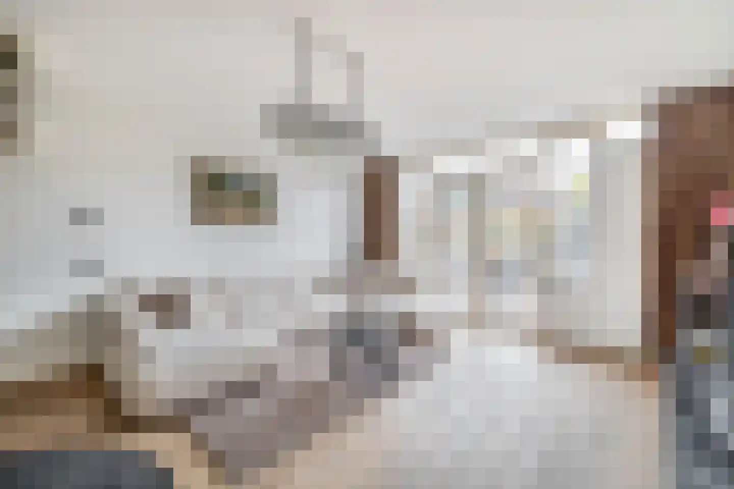 Gazelleweide 14 Nieuwegein thumbnail 13