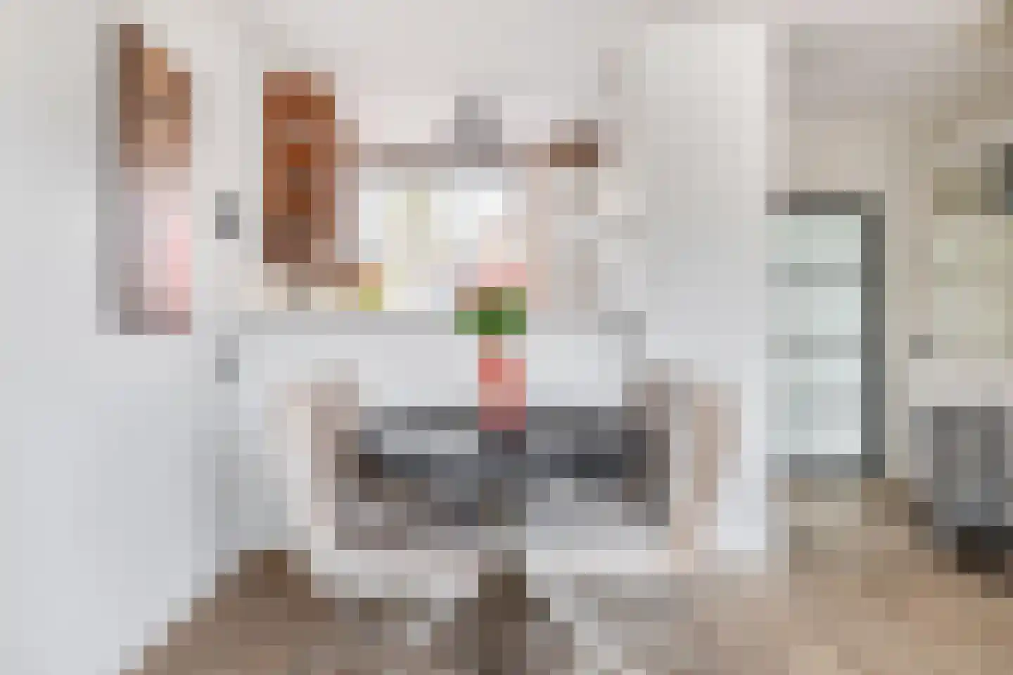 Gazelleweide 14 Nieuwegein thumbnail 15