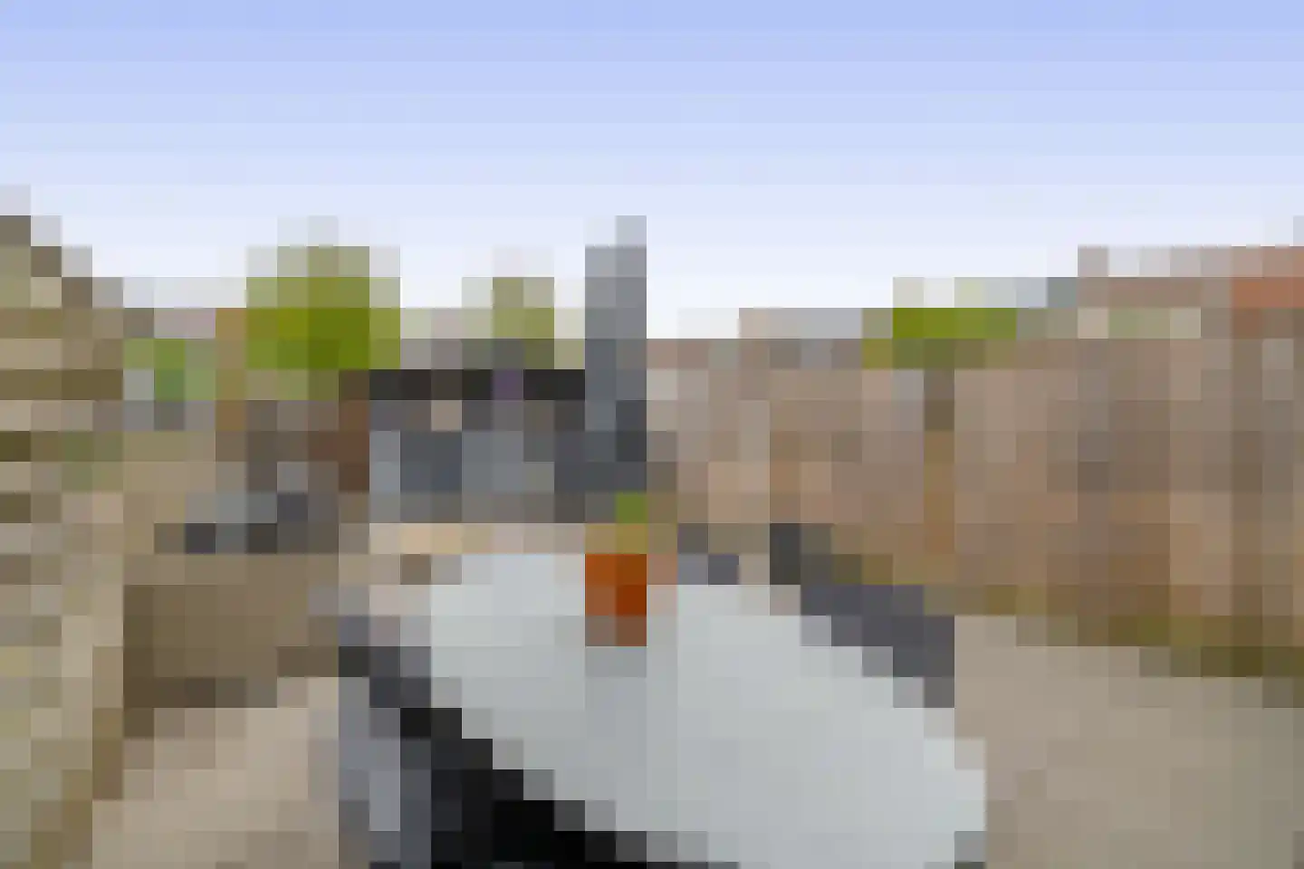 Gazelleweide 14 Nieuwegein thumbnail 22