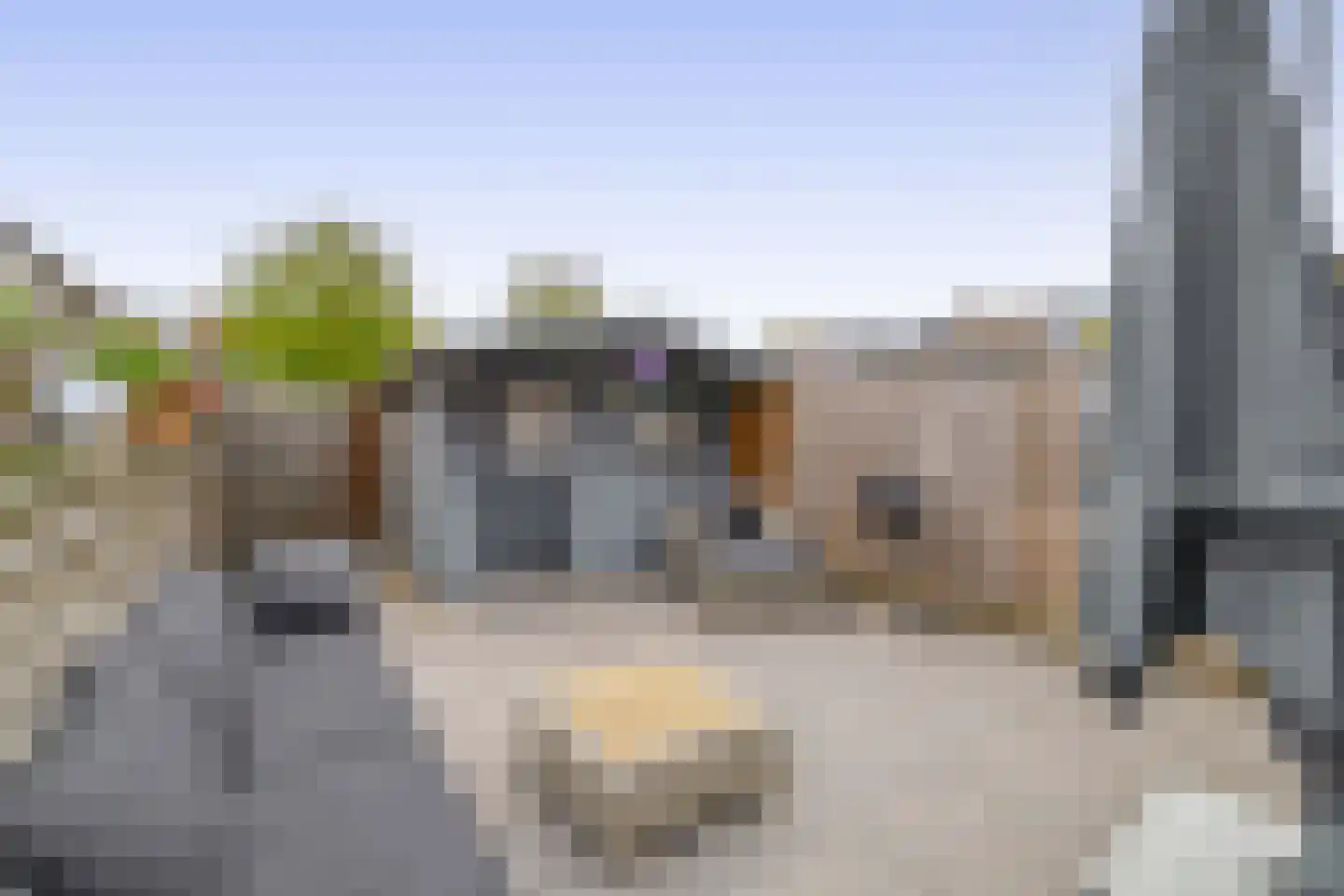 Gazelleweide 14 Nieuwegein thumbnail 23