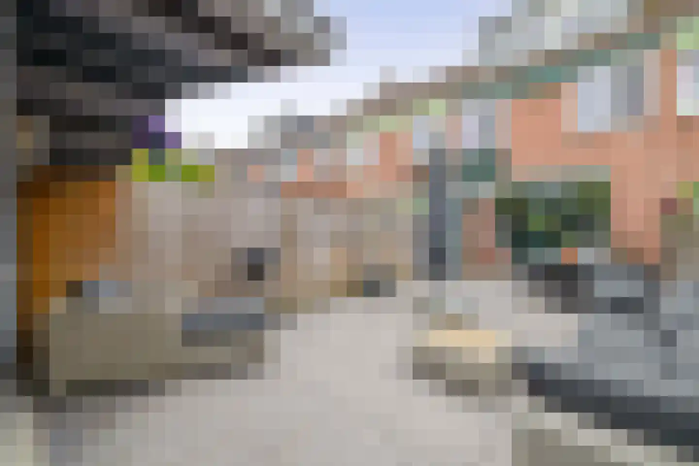 Gazelleweide 14 Nieuwegein thumbnail 24
