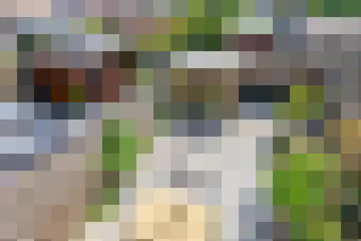Gdyniapad 8 Rotterdam thumbnail 38