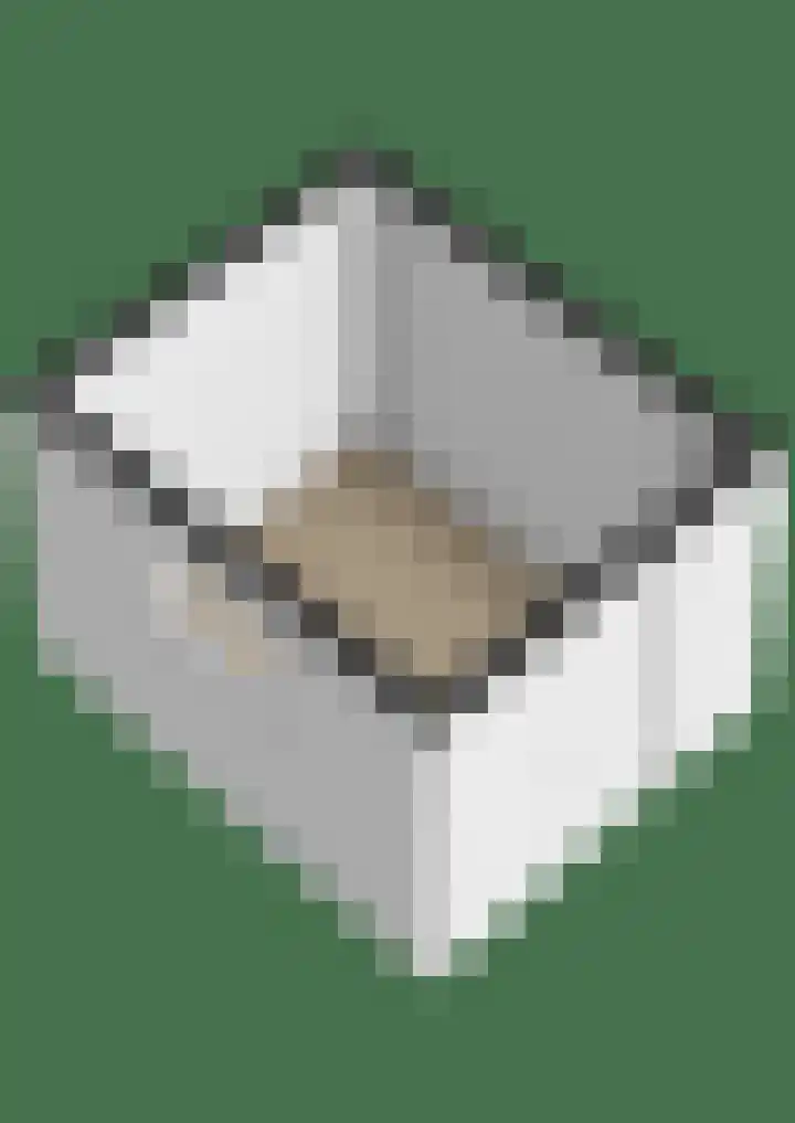 Gdyniapad 8 Rotterdam thumbnail 61