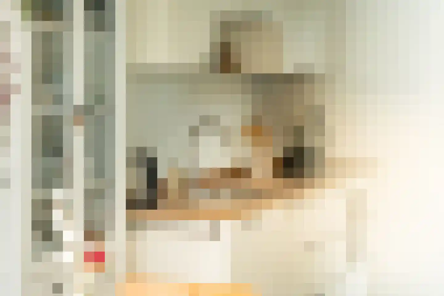 Gé Flinthof 2 Deventer thumbnail 11