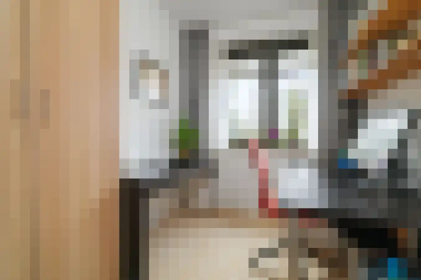 Gé Flinthof 2 Deventer thumbnail 22