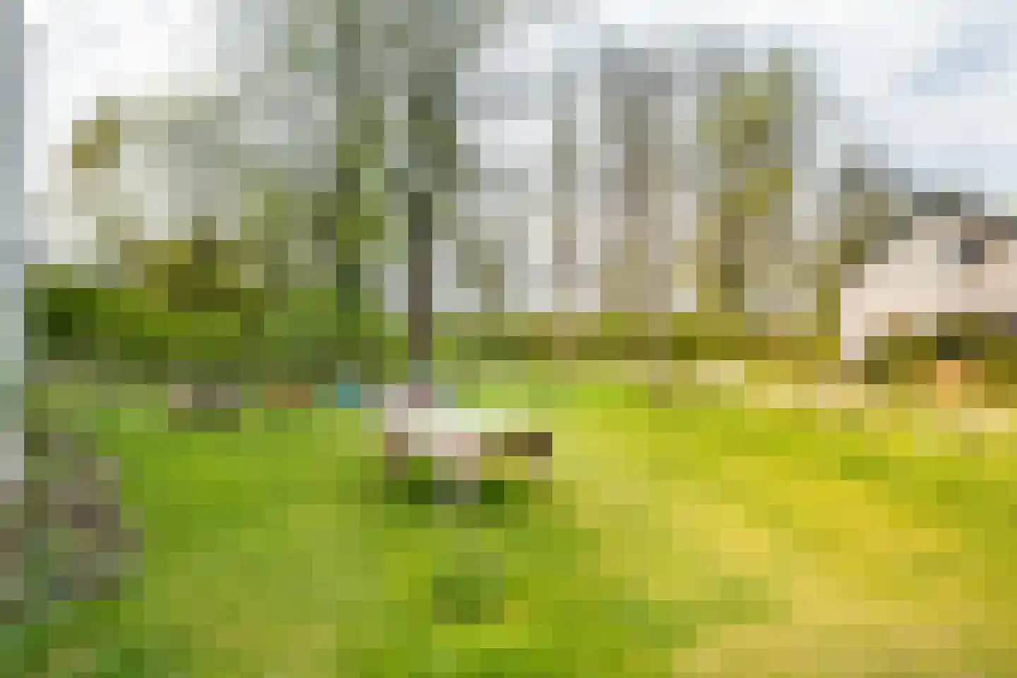 Gé Flinthof 2 Deventer thumbnail 34