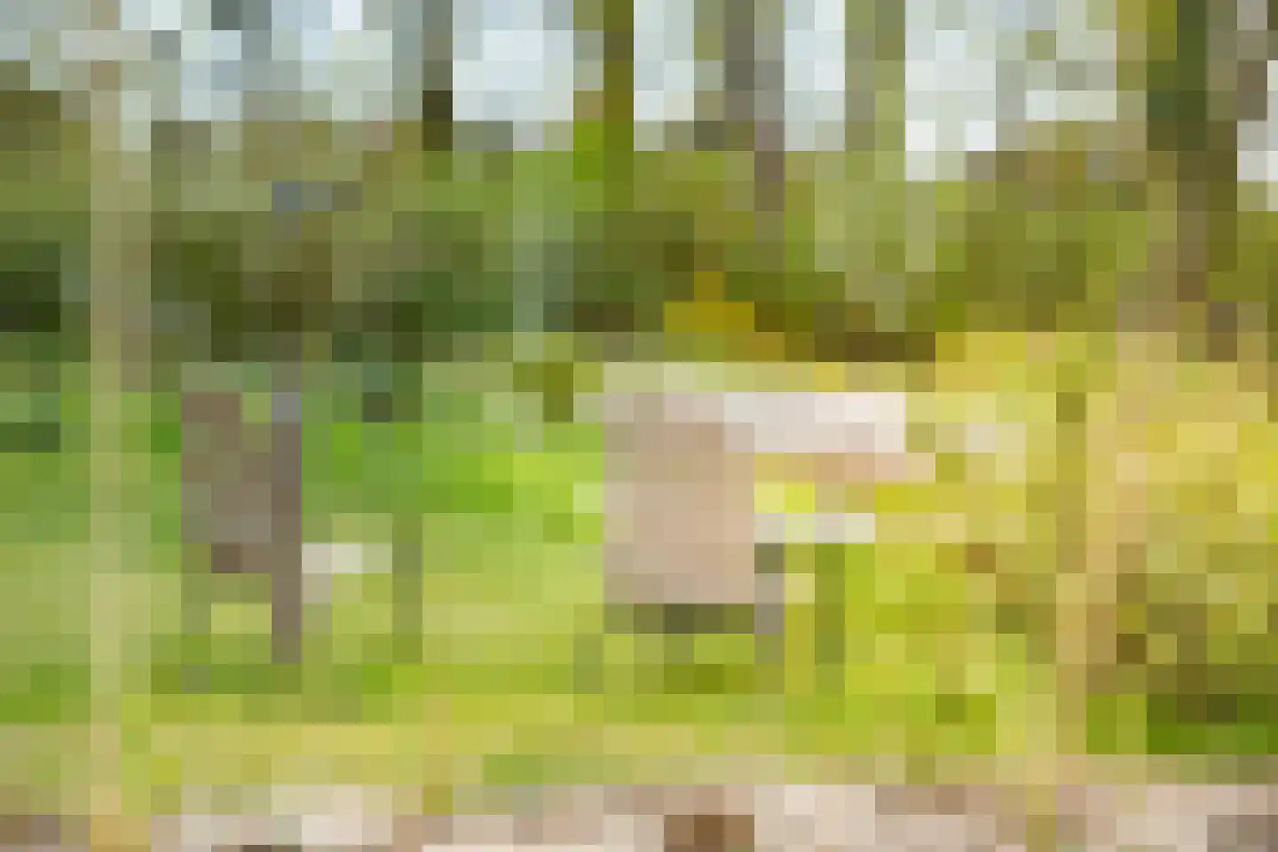 Gé Flinthof 2 Deventer thumbnail 38