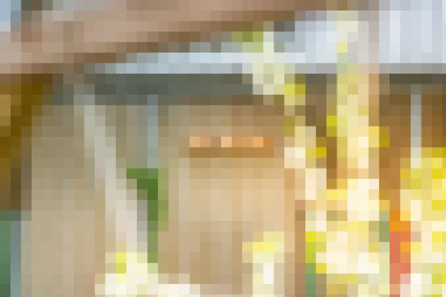 Gé Flinthof 2 Deventer thumbnail 39