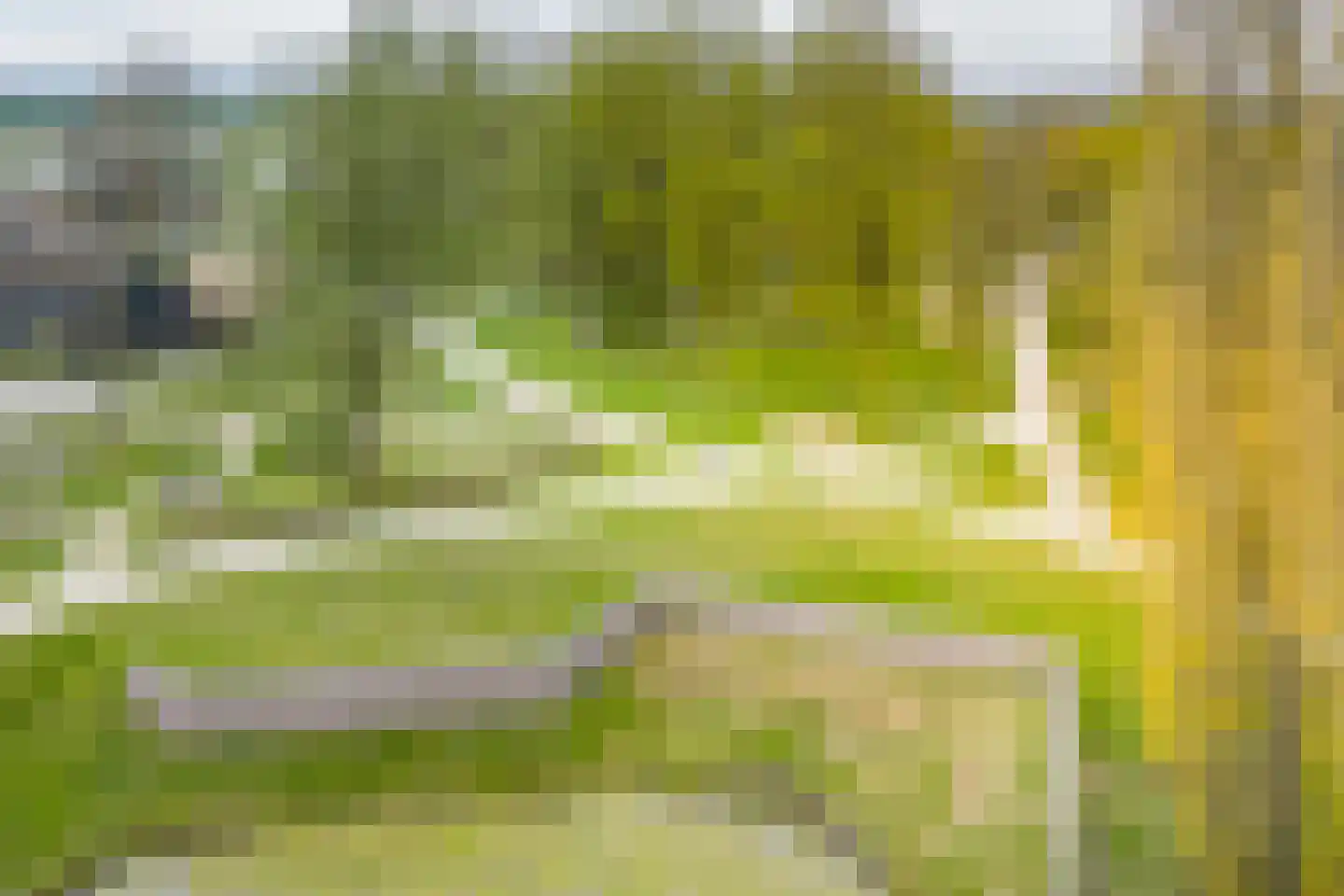 Gé Flinthof 2 Deventer thumbnail 48