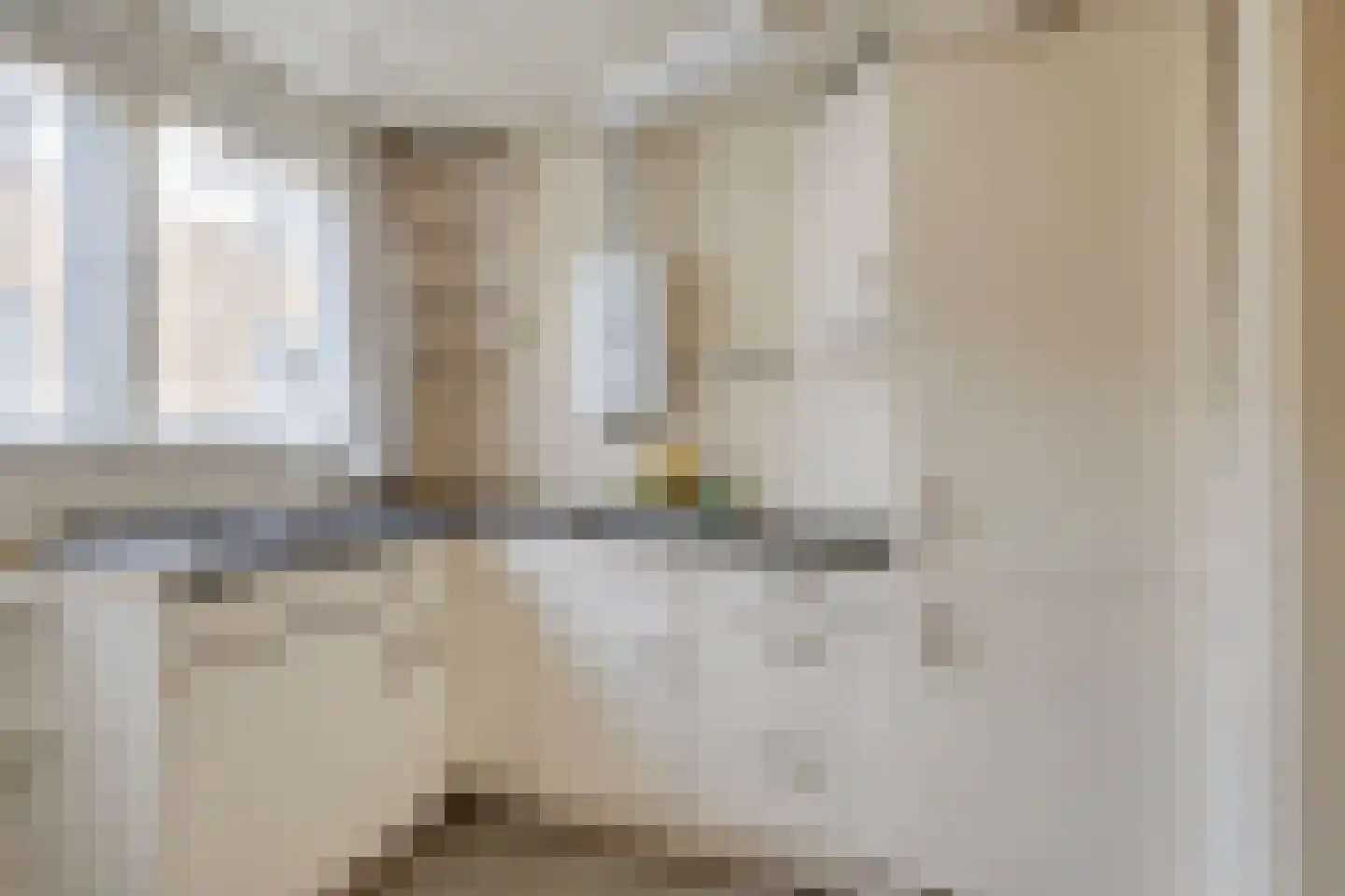 Gealeloane 5 Augustinusga thumbnail 17