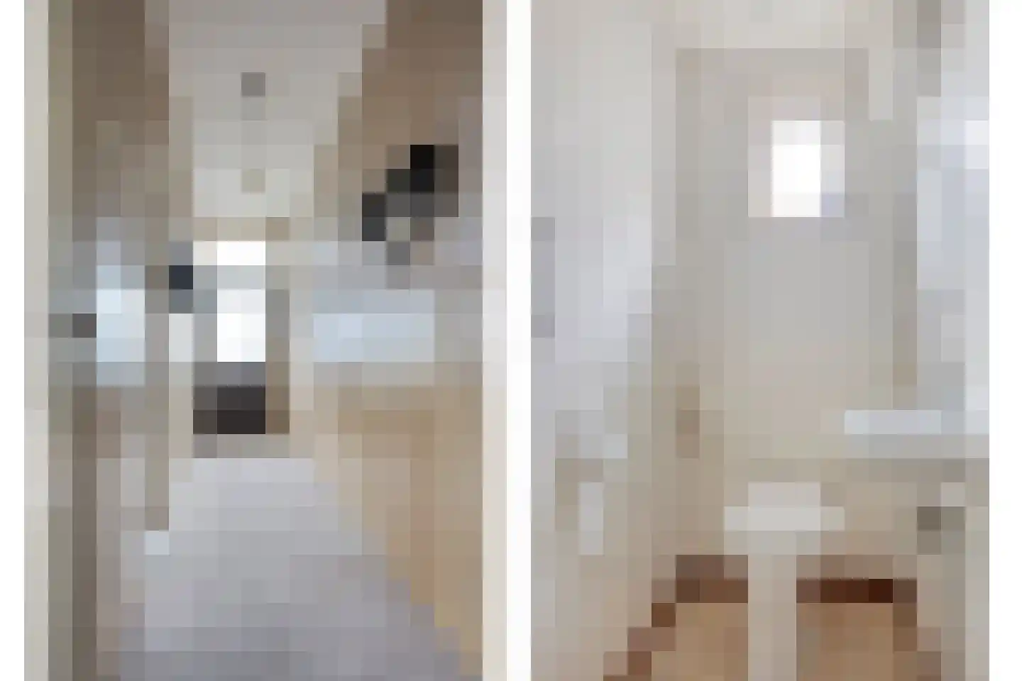 Gealeloane 5 Augustinusga thumbnail 18