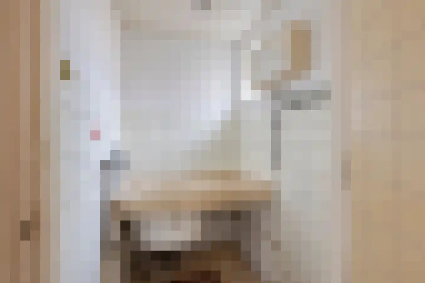 Gealeloane 5 Augustinusga thumbnail 20