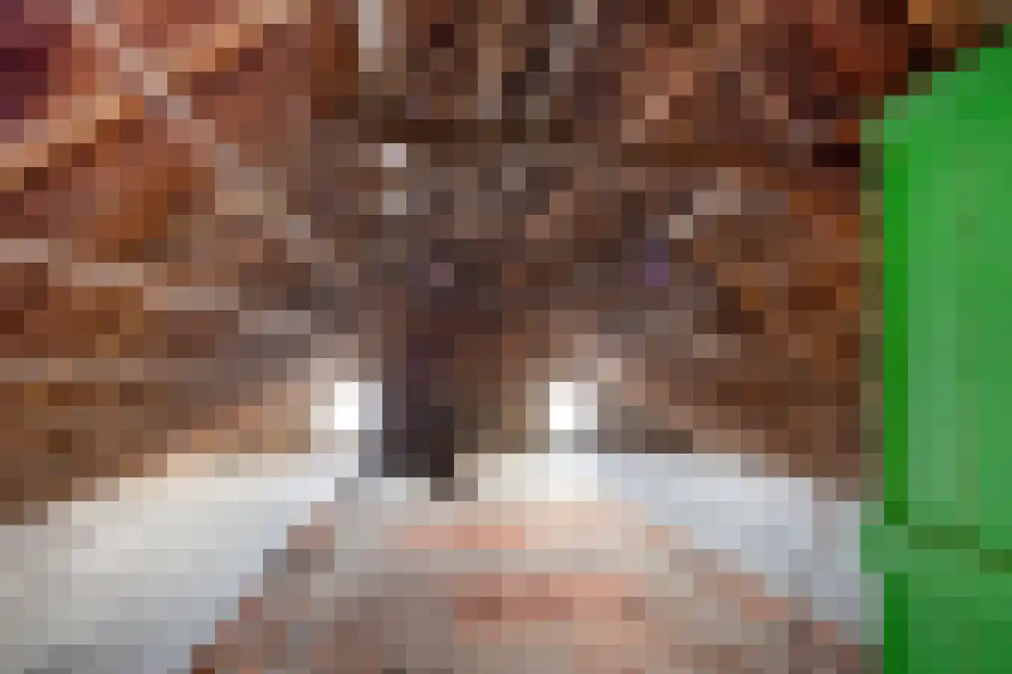 Gealeloane 5 Augustinusga thumbnail 26