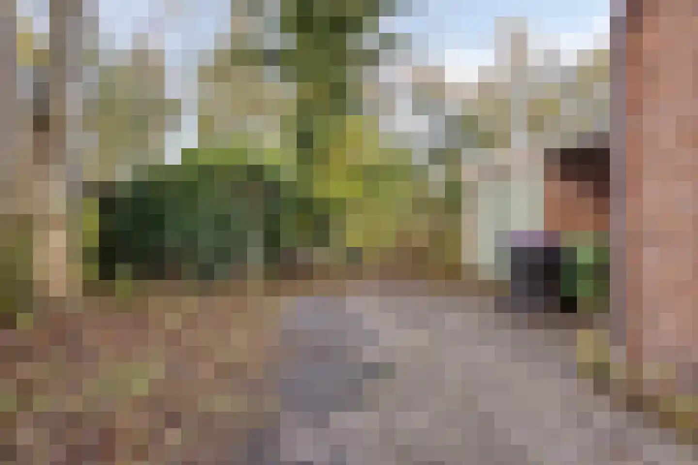 Gealeloane 5 Augustinusga thumbnail 27